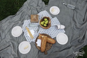 Picnic HallingstadLovring