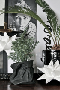 Christmas photo & styling: Heidi Hallingstad