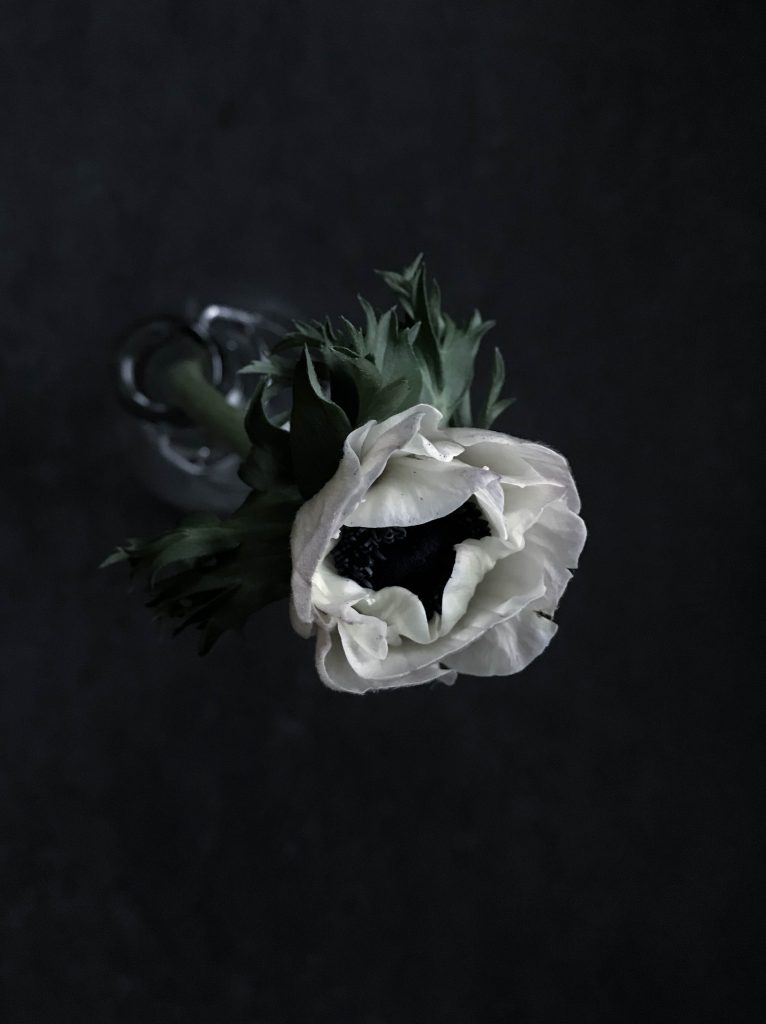 Fresh flowers // heidihallingstad.com