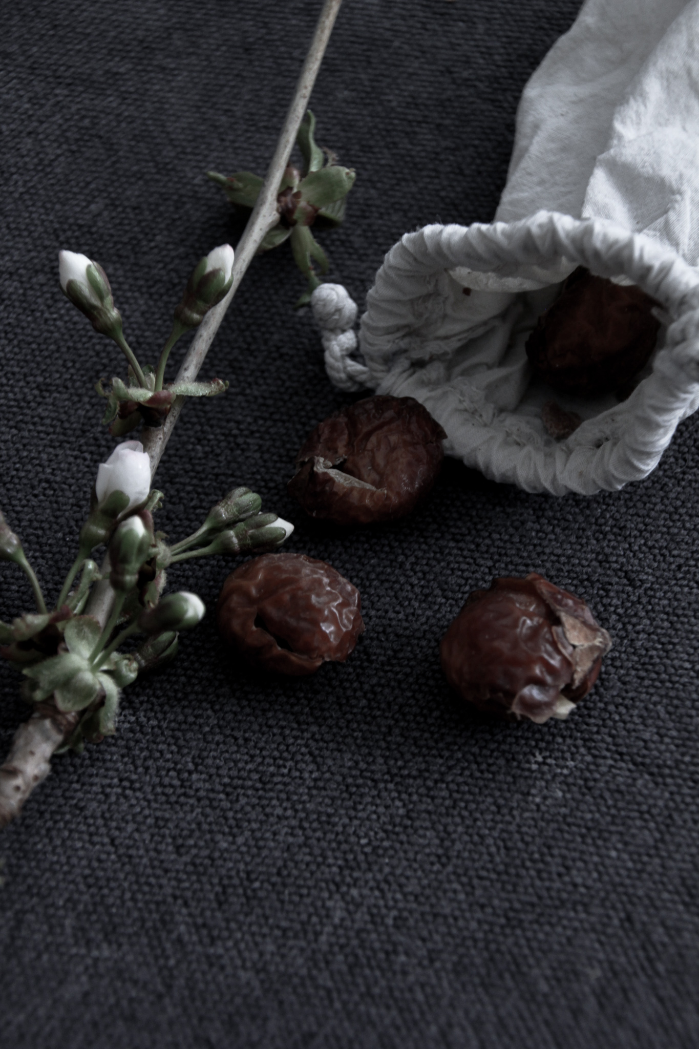 Do your laundry with soap nuts // heidihallingstad.com